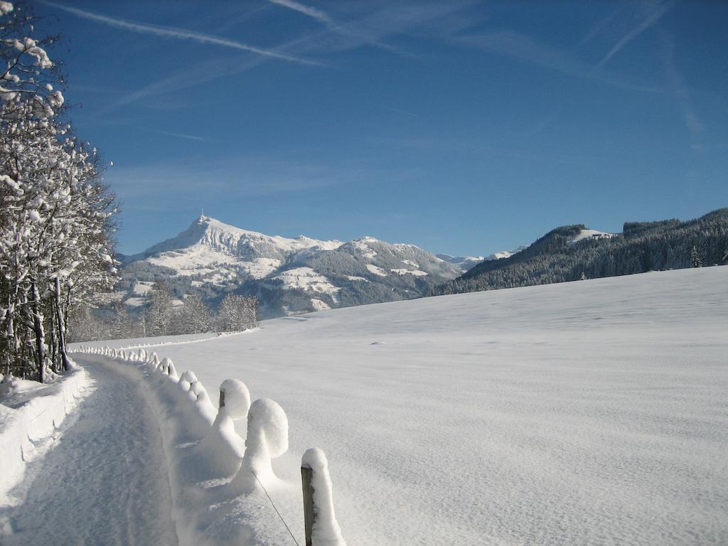 Alpenresidenz Adler Hotel Kirchberg in Tirol Bagian luar foto